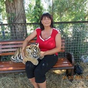 ���������� ������, ���� ������� ��������, 60 ���, ������������ 