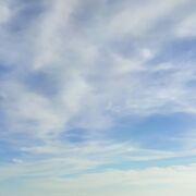 ���������� ������, ���� ������� �������, 48 ���, ������������ ��� ������, ����� � ���������