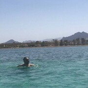 ���������� �����, ���� ������� �����, 33 ����, ������������ ��� ������, ����� � ���������