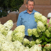  ,   , 65 ,   