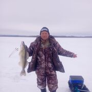 ���������� �������, ���� ������� ���������, 42 ����, ������������ ��� ����� � ���������, c�������� ���������, ���������