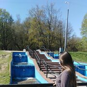 ���������� ���������, ���� ������� ��������, 21 ���, ������������ ��� ������, ����� � ���������