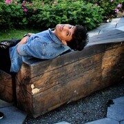 ���������� ������, ���� ������� ������, 28 ���, ������������ ��� ������, ����� � ���������, c�������� ���������, ���������