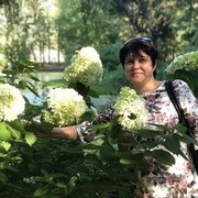 ���������� �������, ������� �������, 56