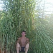 ���������� ������, ���� ������� ������, 33 ����, ������������ ��� ������, ����� � ���������, c�������� ���������