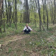 ���������� �����������, ���� ������� �������, 37 ���, ������������ ��� ����� � ���������, c�������� ���������, ���������