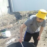 ���������� ���������, ���� ������� ���������, 29 ���, ������������ ��� ������, ����� � ���������