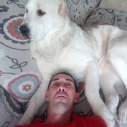 ���������� �����, ���� ������� ��������, 41 ���, ������������ ��� c�������� ���������