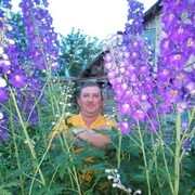 ���������� �����, ���� ������� �������, 49 ���, ������������ ��� ������, ����� � ���������