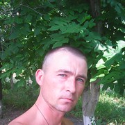  ,  , 44