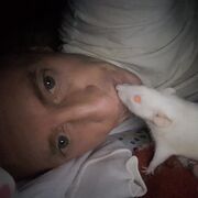  ,   Mik, 44 ,   ,   , c , 