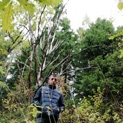 ���������� ���������, ���� ������� Zafarbek Sh, 41 ���, ������������ ��� ������, ����� � ���������, c�������� ���������