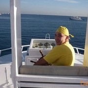  ,   , 41 ,   