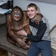 ���������� �����, ���� ������� ���������, 28 ���, ������������ ��� ����� � ���������, c�������� ���������, ���������