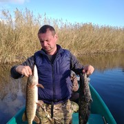 ���������� �����, ���� ������� ����, 41 ���, ������������ ��� ������, ����� � ���������, c�������� ���������