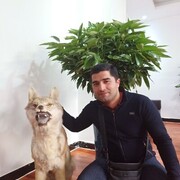  ,   , 38 ,     , c 