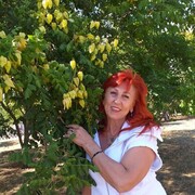 ���������� ������, ���� ������� ������, 58 ���, ������������ ��� ������, ����� � ���������