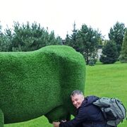 ���������� �����-���������, ���� ������� �������, 47 ���, ������������ ��� ������, ����� � ���������, c�������� ���������