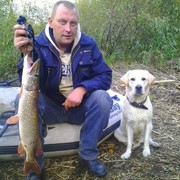 ���������� ������, ������� ����, 51