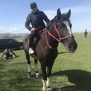 ���������� �����, ���� ������� ��������, 32 ����, ������������ ��� ������