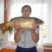  ,   , 63 ,   ,   , 