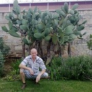  ,   Aleksandr, 41 ,   ,   , c 