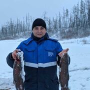 ���������� ������, ���� ������� ����, 43 ����, ������������ ��� ������, ����� � ���������, c�������� ���������