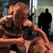  ,  , 29