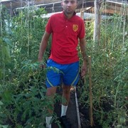 ���������� ������, ���� ������� ������, 39 ���, ������������ ��� ������, ����� � ���������, c�������� ���������