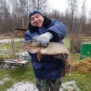 ���������� ������, ���� ������� �������, 66 ���, ������������ ��� ����� � ���������, c�������� ���������