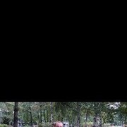 ���������� ����������, ���� ������� �������, 41 ���, ������������ ��� ������, ����� � ���������, c�������� ���������