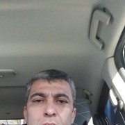  ,   Timur, 49 ,     , c 