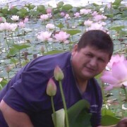 ���������� ������, ���� ������� �������, 56 ���, ������������ ��� ������, ����� � ���������