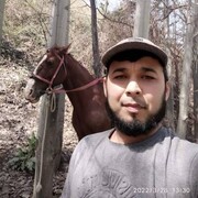 ���������� ������, ���� ������� ������, 43 ����, ������������ ��� ������, ����� � ���������