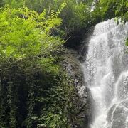  ,  Zurchik, 31