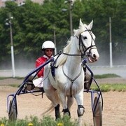 ���������� ���������, ���� ������� ���������, 47 ���, ������������ ��� ������, ����� � ���������, c�������� ���������