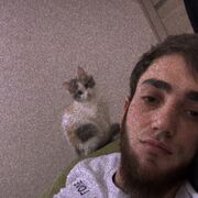 ���������� ������������, ���� ������� �����, 27 ���, ������������ ��� ������, ����� � ���������, c�������� ���������