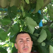  ,   , 44 ,     , c 