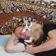 ���������� ��������, ������� �������, 41