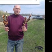  ,   , 59 ,     , c 