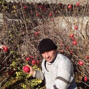  ,   , 50 ,   c 