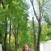  ,  , 32