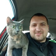 ���������� �������, ���� ������� ����, 41 ���, ������������ ��� ������, ����� � ���������, c�������� ���������