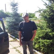  ,   , 54 ,  