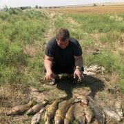  ,  Anton, 37