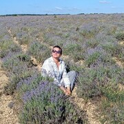 ���������� �����������, ���� ������� �������, 52 ����, ������������ ��� ������, ����� � ���������, c�������� ���������