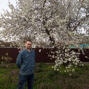 ���������� ���������, ���� ������� �����, 38 ���, ������������ ��� ������, ���������