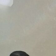 ���������� �������, ���� ������� �����, 50 ���, ������������ ��� ������, ����� � ���������