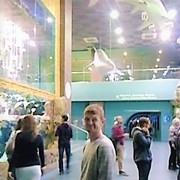  ,   , 46 ,   