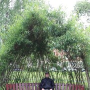  -,   , 44 ,   ,   , c 